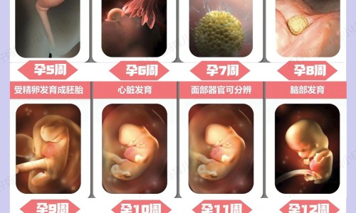 肠胃不好吃红薯好吗?哪种烹饪方式更适合肠胃弱的人?-肠胃不好吃红薯好吗网-分享肠胃不好吃什么水果比较好，肠胃不好的人吃什么东西比较好知识库